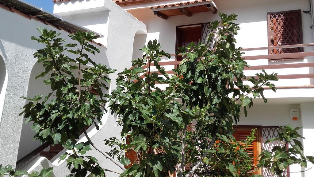 Villa Modus Vivendi ชีนิซี ภายนอก รูปภาพ